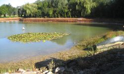 Ponds and reservoirs